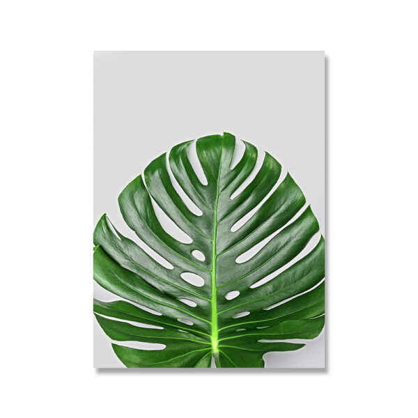 Verdant Canvas - Image 4